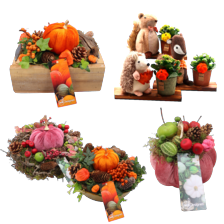 Diverse pompoen arrangementen